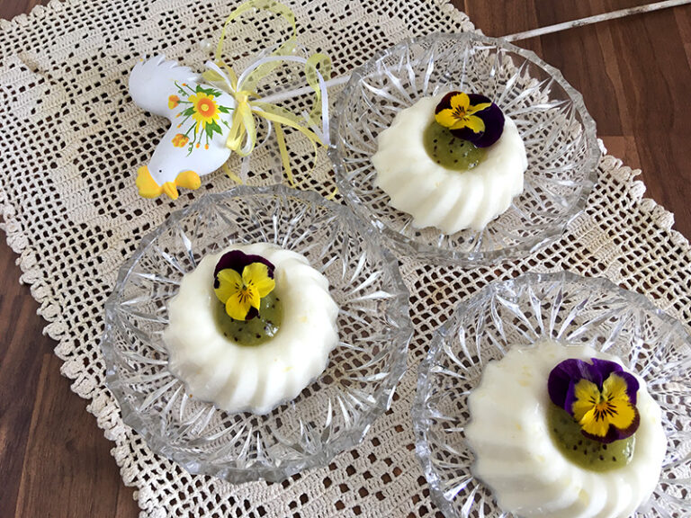 Odlehčená panna cotta s kiwi
