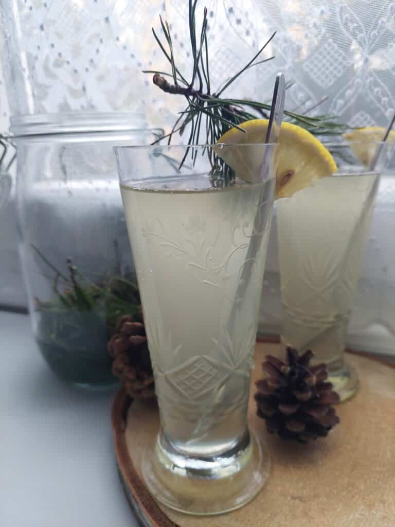 Borovicová kvašená limonáda ve sklenici s kostkami ledu