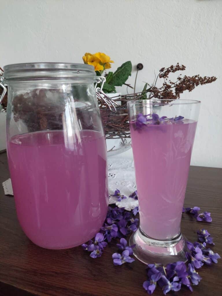 Fialková kvašená limonáda ve sklenici s květy fialek