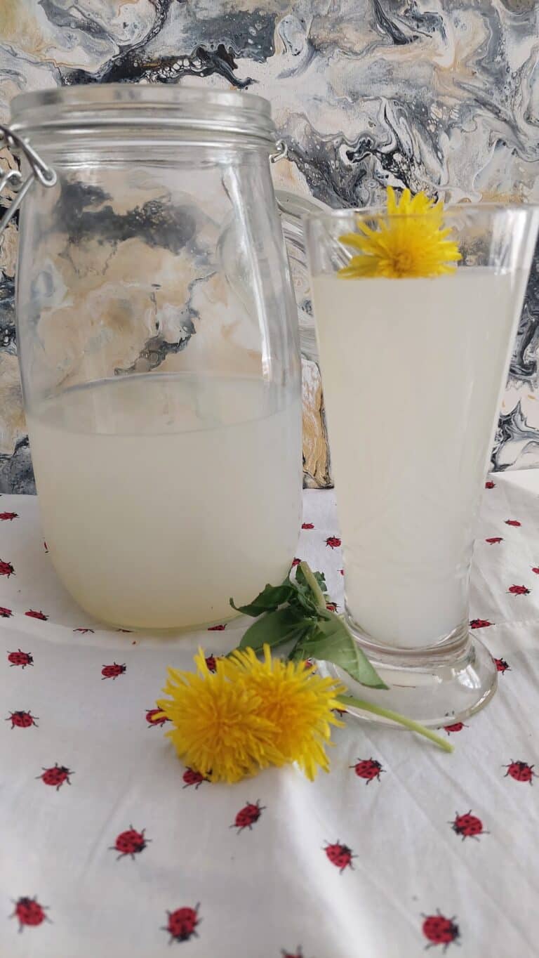 Pampelišková kvašená limonáda ve sklenici s květy pampelišek