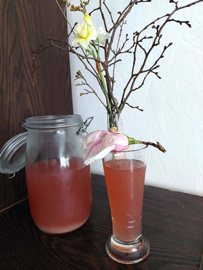 Kvašená limonáda z magnólie ve skleněné lahvi s okvětními plátky